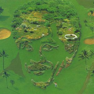 免费免费啪视频在线观播放
