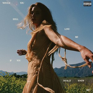 免费免费啪视频在线观播放
